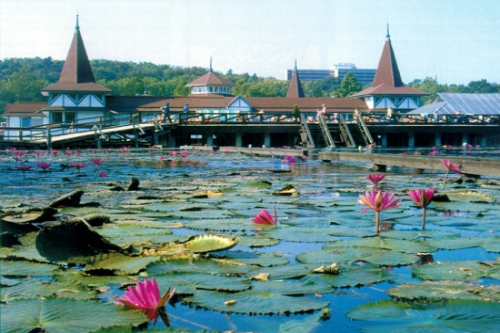 Файл:Фото к статье Экскурсии в Венгрии 1.jpg