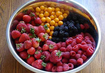 Table-berries.jpg