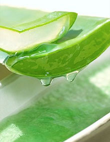 Treatment-aloe1.jpg