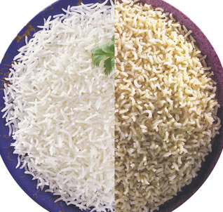 Rice1.jpg