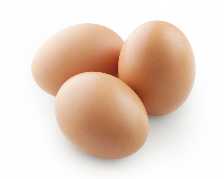 Файл:Eggs-k.jpg