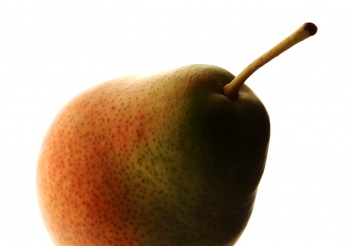 Pear001.JPG