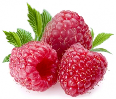 Raspberry1000.jpg