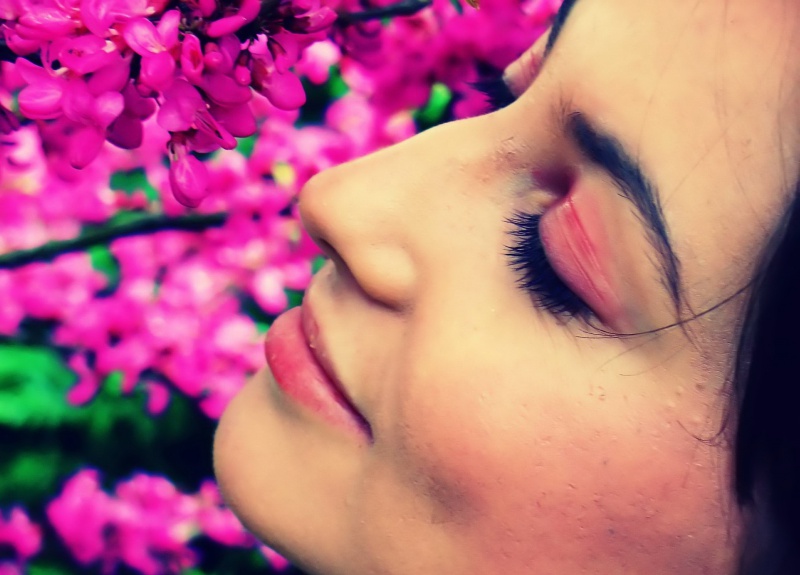 Файл:Smell55.jpg