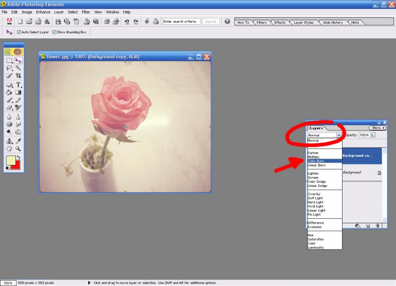 Файл:Photoshop elements 5.jpg