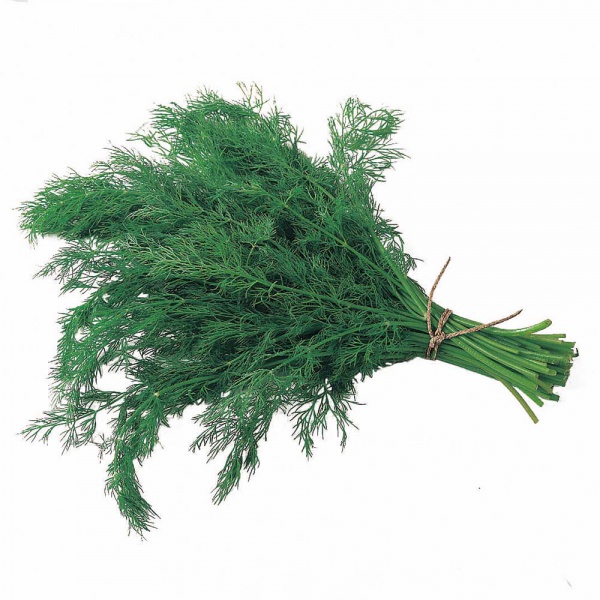 Файл:Dill1000.jpg