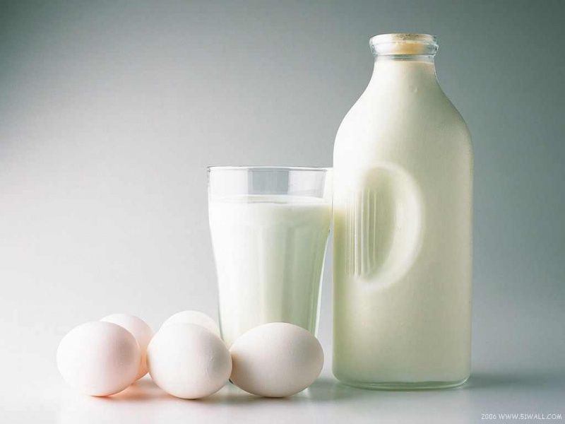 Файл:Milkeggs111.jpg