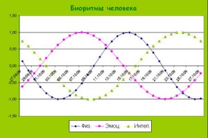 Биоритмы.jpg