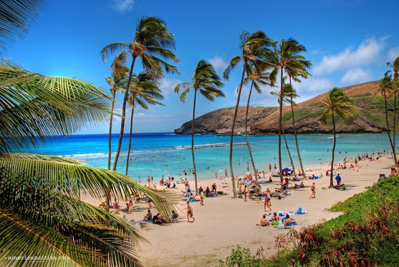 Файл:OriginWM Hawaii-3.jpg