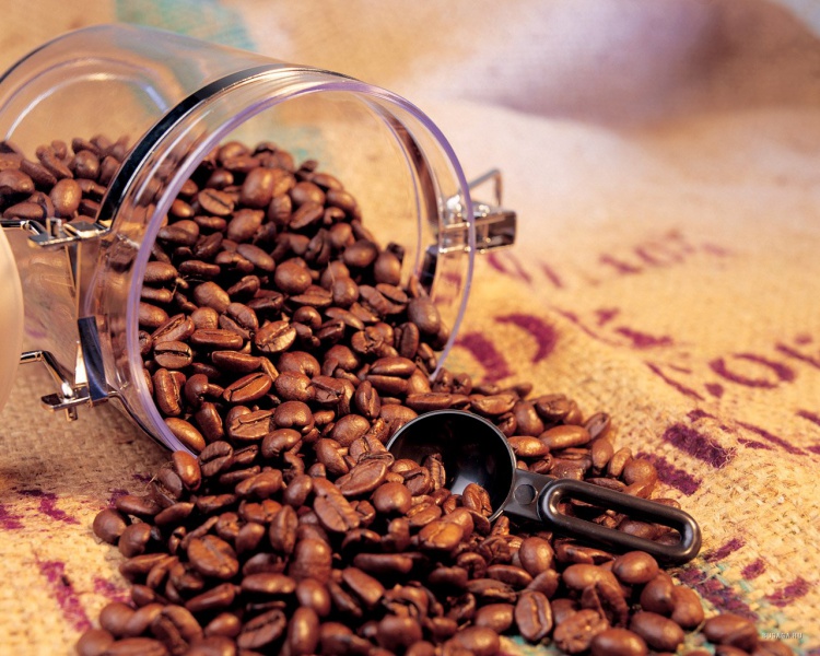 Файл:Coffee.jpg