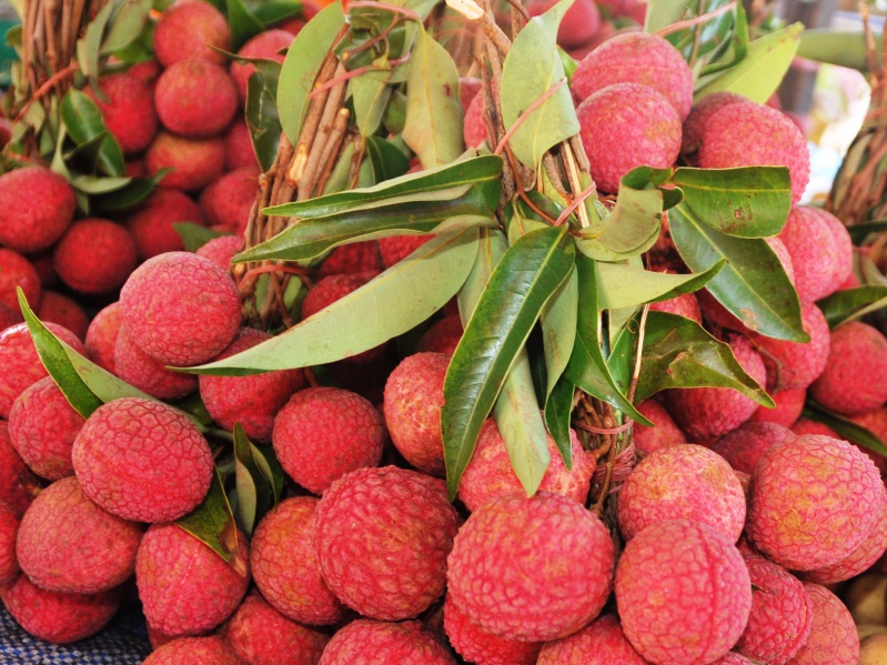 Файл:Lichi 1.jpg