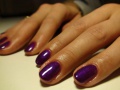 1301390285 180987857 2----SHELLAC.jpg