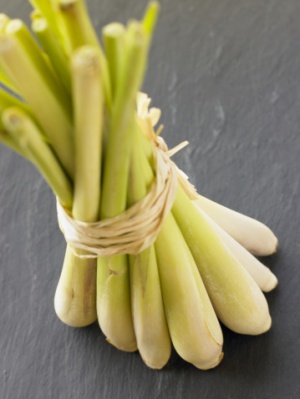 Lemongrass-3.jpg