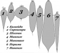 Миниатюра для версии от 10:30, 1 апреля 2013