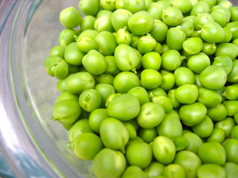 Файл:Beans1.jpg