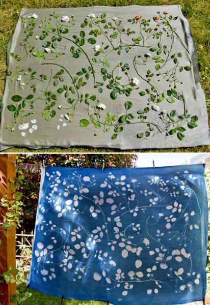 Файл:Sunprint 7.jpg
