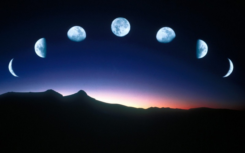 Файл:Luna.jpg