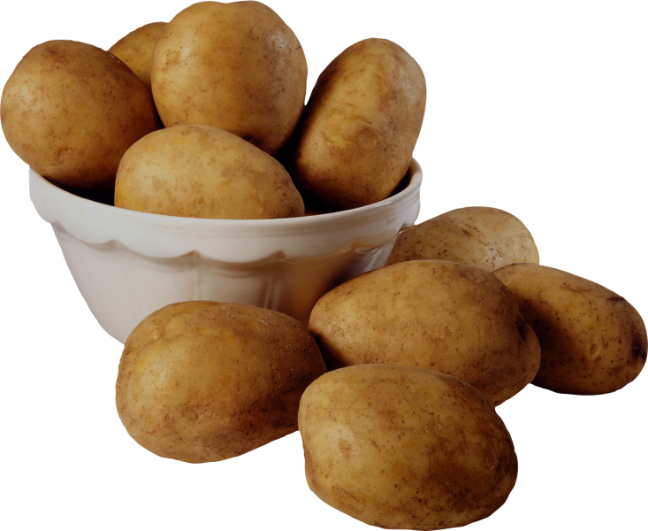 Файл:Potka1.png