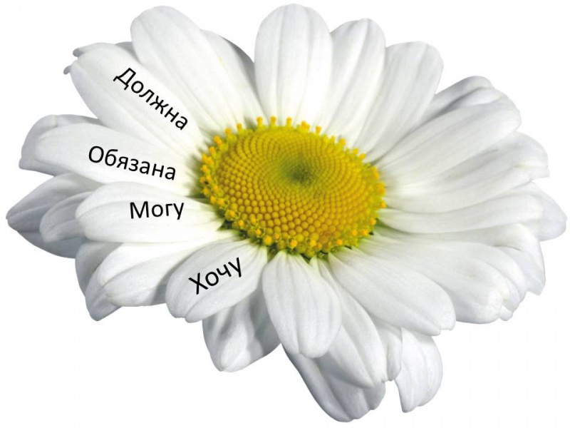 Файл:Ромашка.jpg
