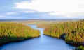 Миниатюра для версии от 22:00, 22 мая 2016