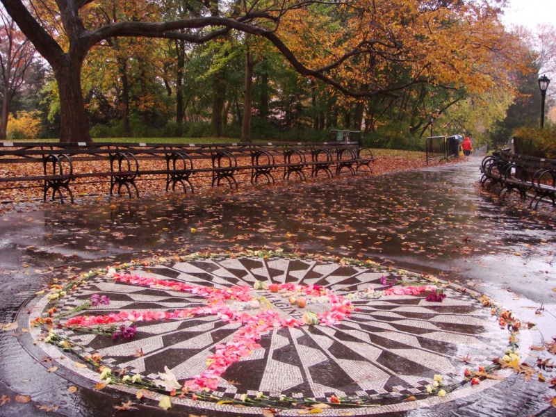Файл:Strawberry Fields 2.jpg