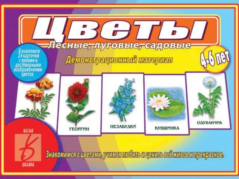 Файл:Экологические игры 2.jpg