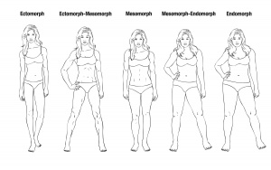 Womans Body type list-for layout copy.jpg