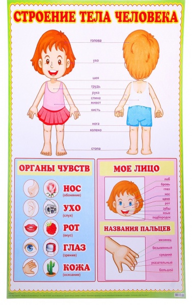Файл:728733.jpg