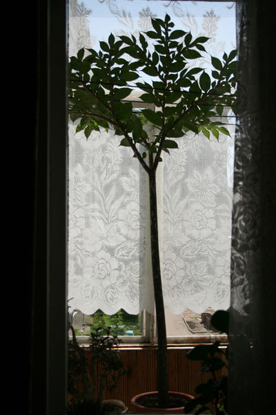 Файл:8.jpg