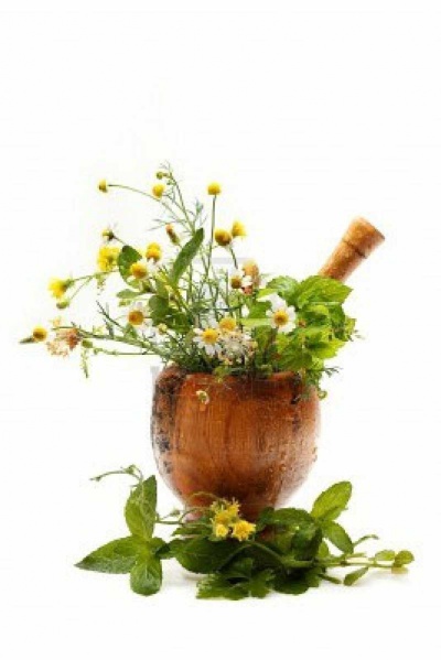 Файл:Herbsa1.jpg