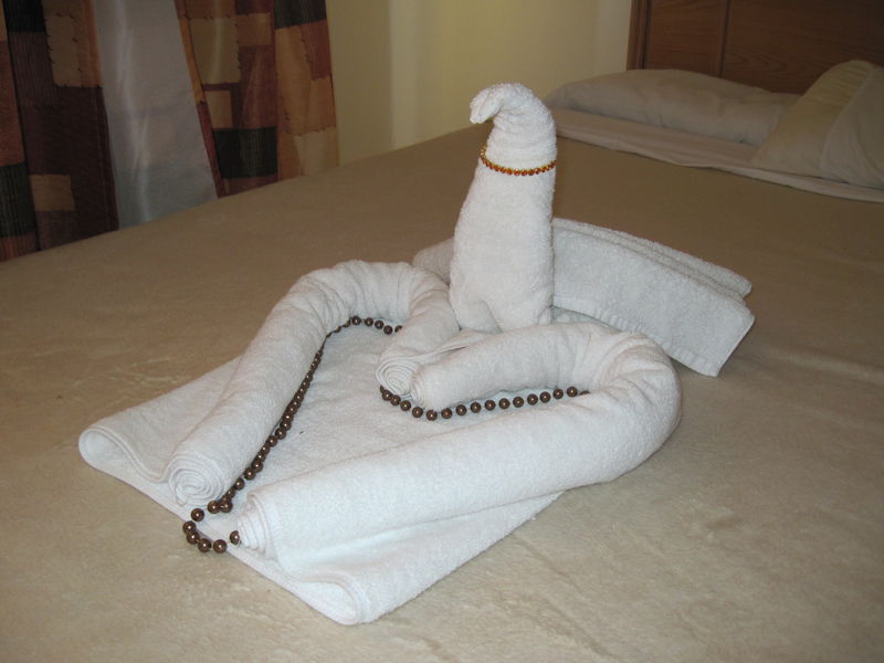Файл:Lebed.jpg