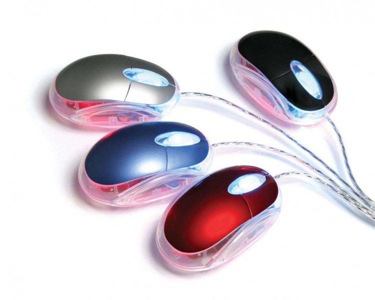 Файл:Mouse67.jpg