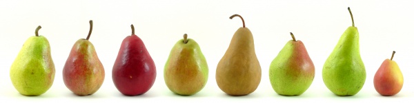 Pear002.jpg