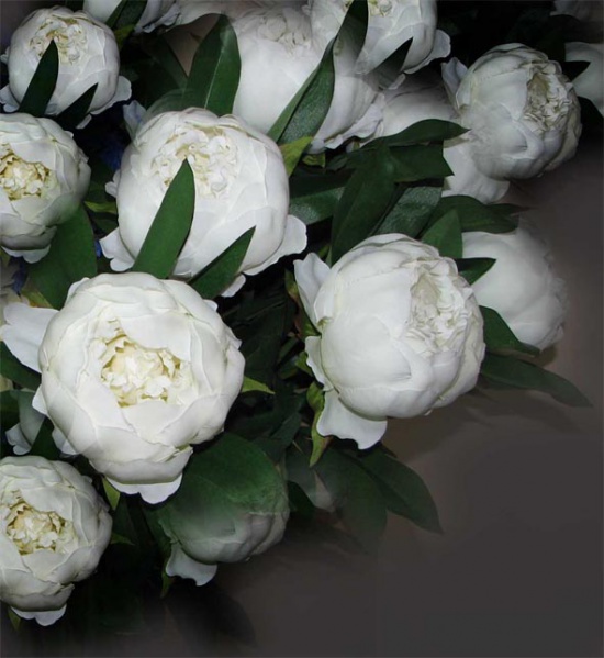 Файл:Pion6.jpg
