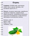 Миниатюра для версии от 12:22, 13 апреля 2016