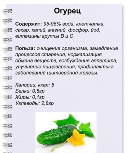 Файл:TOxJtpu8dXo.jpg