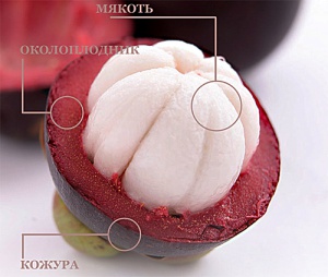 Mangosteen1.jpg