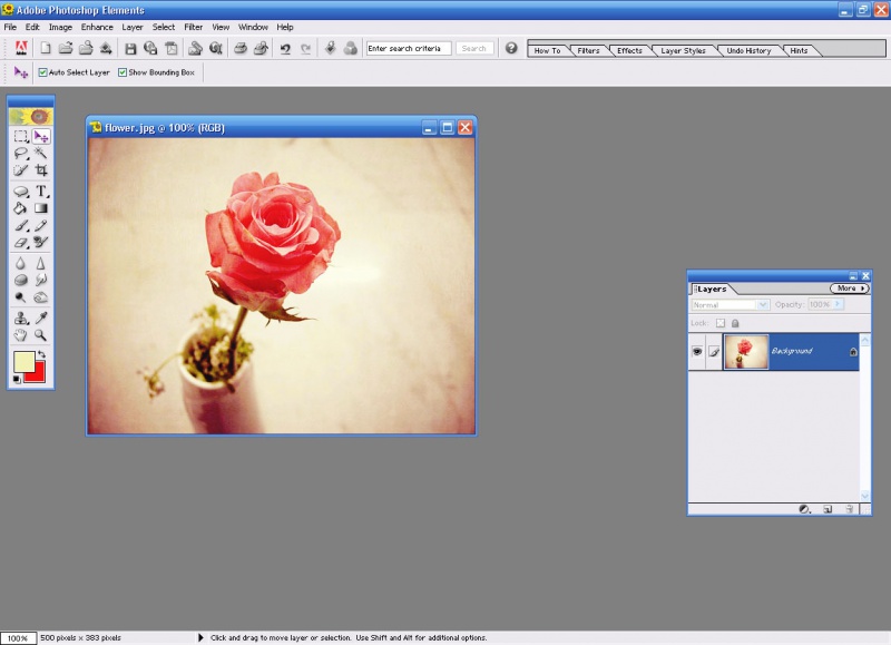 Файл:Photoshop elements 8.jpg