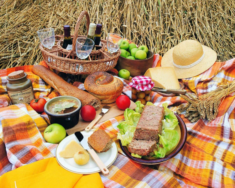 Файл:Piknik-s-semiey.jpg