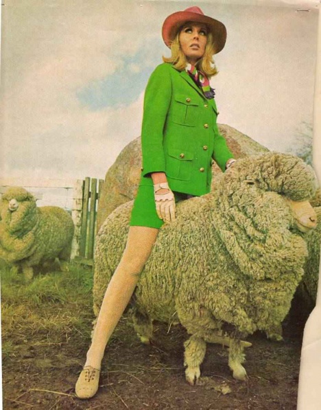 Файл:Merino3.jpg