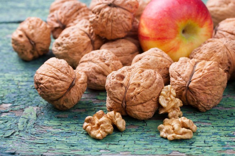 Файл:Photo Sabine Dietrich-nuts.jpg