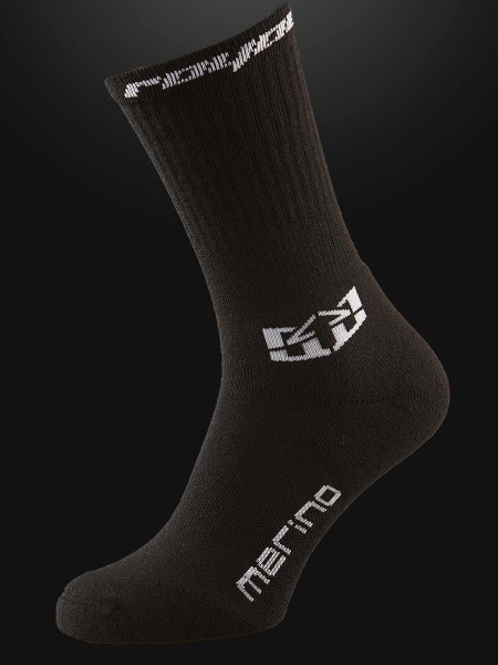 Файл:Merino4.jpg