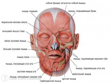 Мг3.jpg