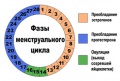 Миниатюра для версии от 16:30, 15 июля 2013