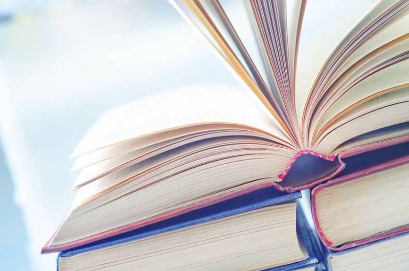 Файл:Photo Yana Gayvoronskaya-books.jpg