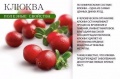 Миниатюра для версии от 14:07, 18 апреля 2016