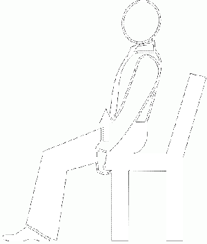 Syn23.gif