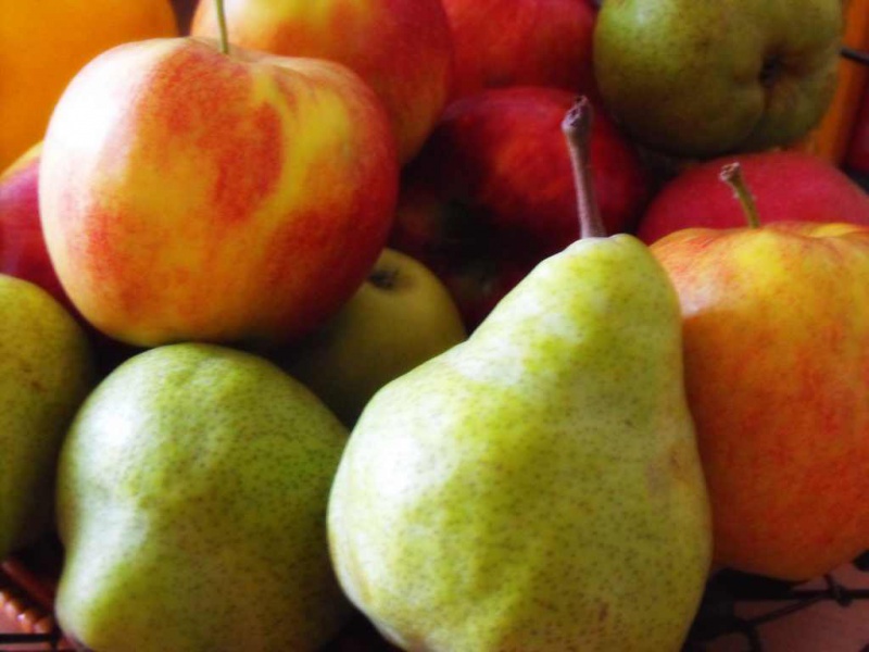 Файл:Fruits8881.jpg