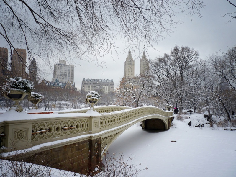 Файл:New-york-central-park-winter.jpg