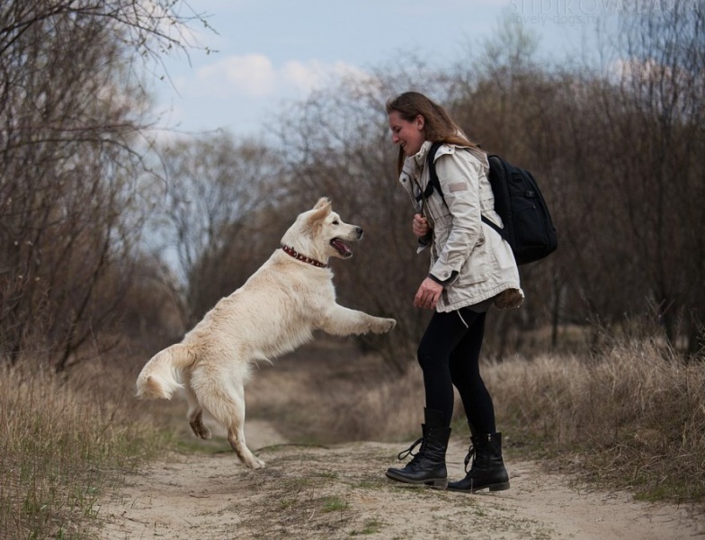 Файл:IMG 0409-1024x682.jpg